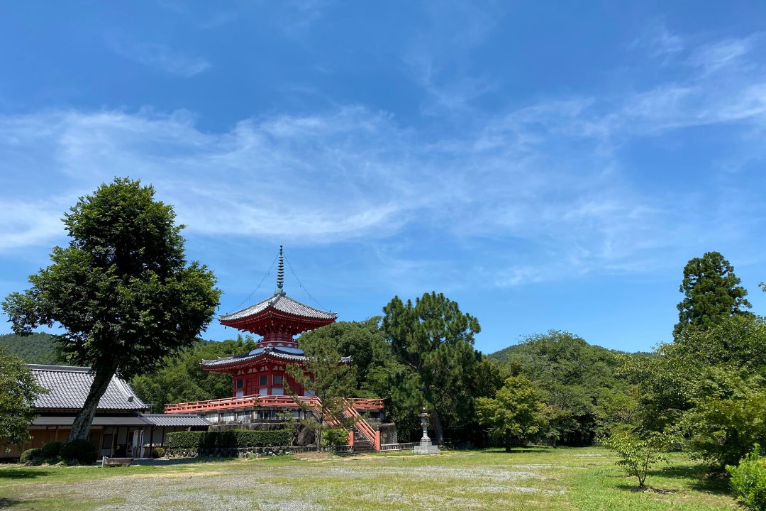 ⛩️ 대흥사 (다이코지) 이미지 7